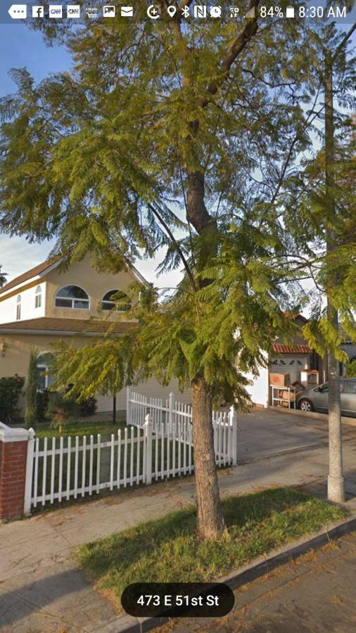 Cynnies Home لونغ بيتش، كاليفورنيا المظهر الخارجي الصورة